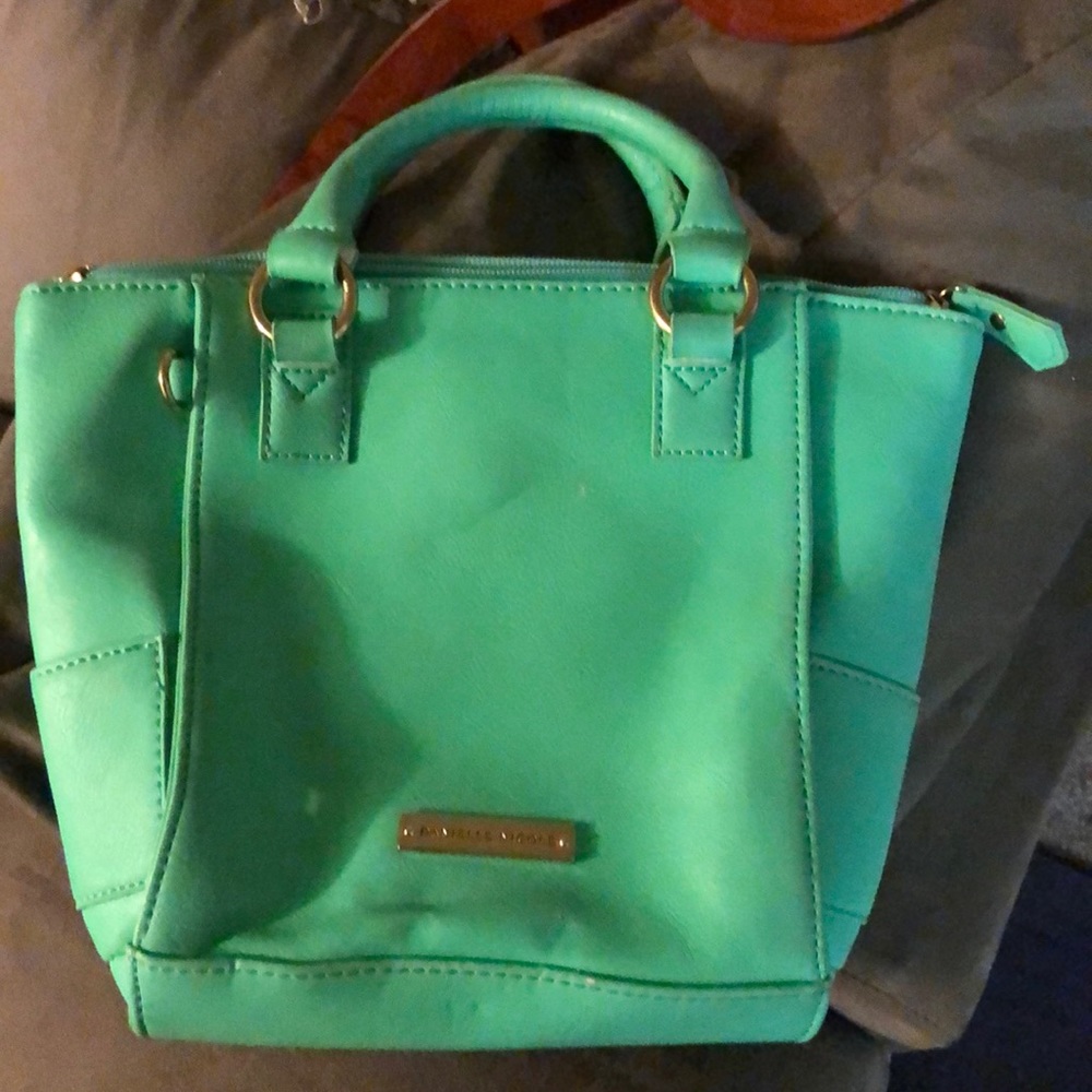 Danielle Nicole Purse